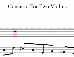 Concerto For Two Violins In D minor 1043 巴赫小提琴二重奏 d小调