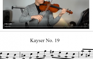 开塞19 – Kayser 19