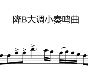 巴克拉诺娃bB大调小奏鸣曲