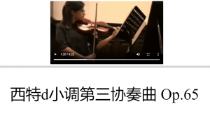 西特d小调第三协奏曲 Op.65
