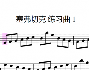 塞弗切克 练习曲 1