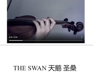 天鹅 圣桑