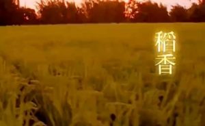 周杰伦稻香 – 小提琴互动乐谱 – 钢琴伴奏