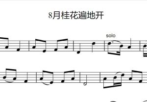 小提琴三级曲目(或等同) - 琴童记- 第3页