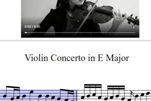 E大调第二协奏曲第一乐章 巴赫 E Major Concerto 1st Mov 1042 Bach