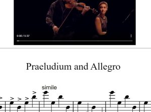 前奏与快板 (Praeludium and Allegro) 克莱斯勒