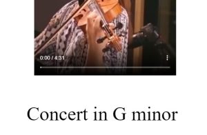 Concerto in g minor Vivaldi 维瓦尔第 g小调协奏曲 第一乐章