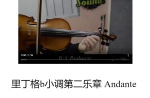 里丁格b小调第二乐章Andante (2nd movt from Concerto in B minor, Op. 35)