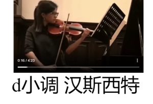 d小调 汉斯西特