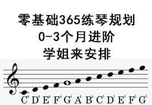 0-3个月练琴计划和资源指南|零基础365练琴计划
