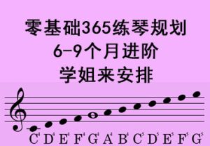 6-9个月练琴计划和资源指南|零基础365练琴计划