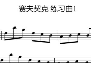 塞弗契克 练习曲 1