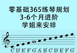 3-6个月练琴计划和资源指南|零基础365练琴计划