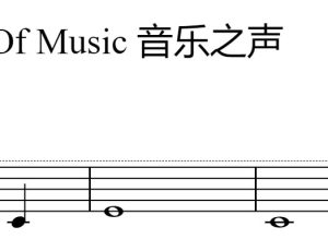 音乐之声 – 第三小提琴 Sound of Music