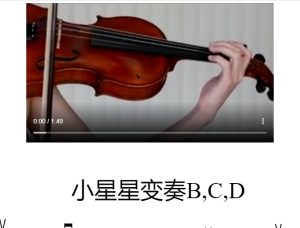 铃木 小星星 变奏 B C D