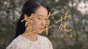 萱草花 – 小提琴谱+钢琴伴奏