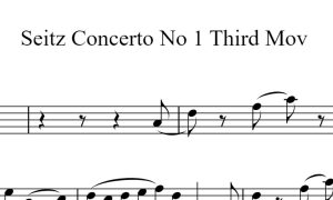 塞茨第一协奏曲第三乐章 Seitz No 1 3rd mov