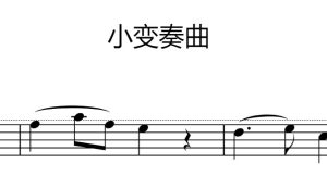 小变奏曲 – 西诺扎基