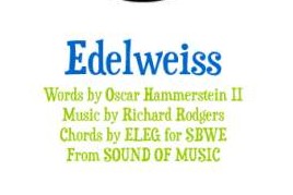 Edelweiss-雪绒花